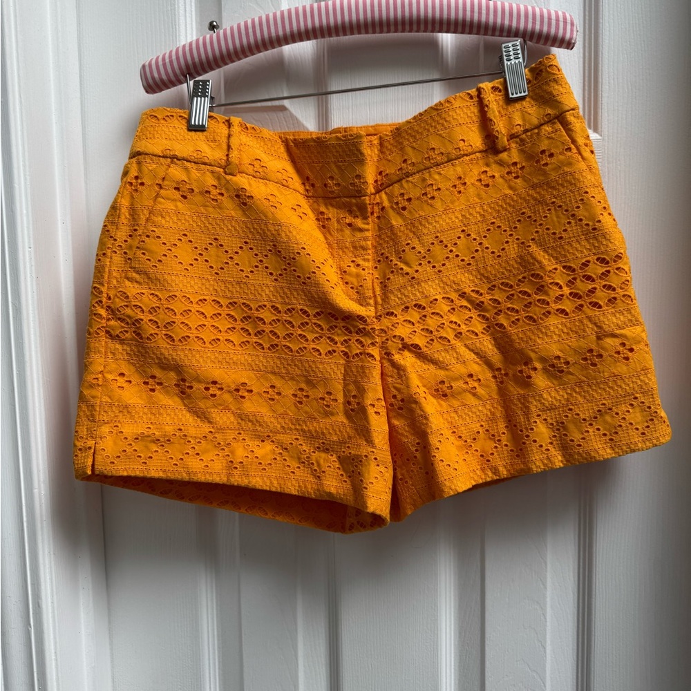 Ann Taylor Loft Shorts